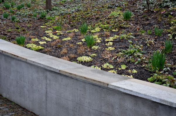 Concrete Wall Construction in Noblesville