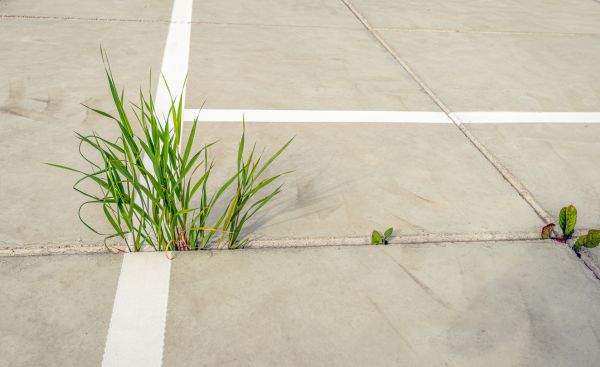 Concrete Parking Installation in Noblesville