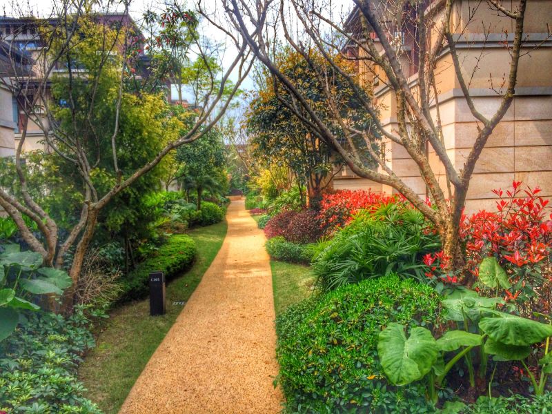 Backyard Pathway Construction